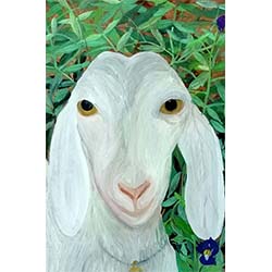 ‘Goat’