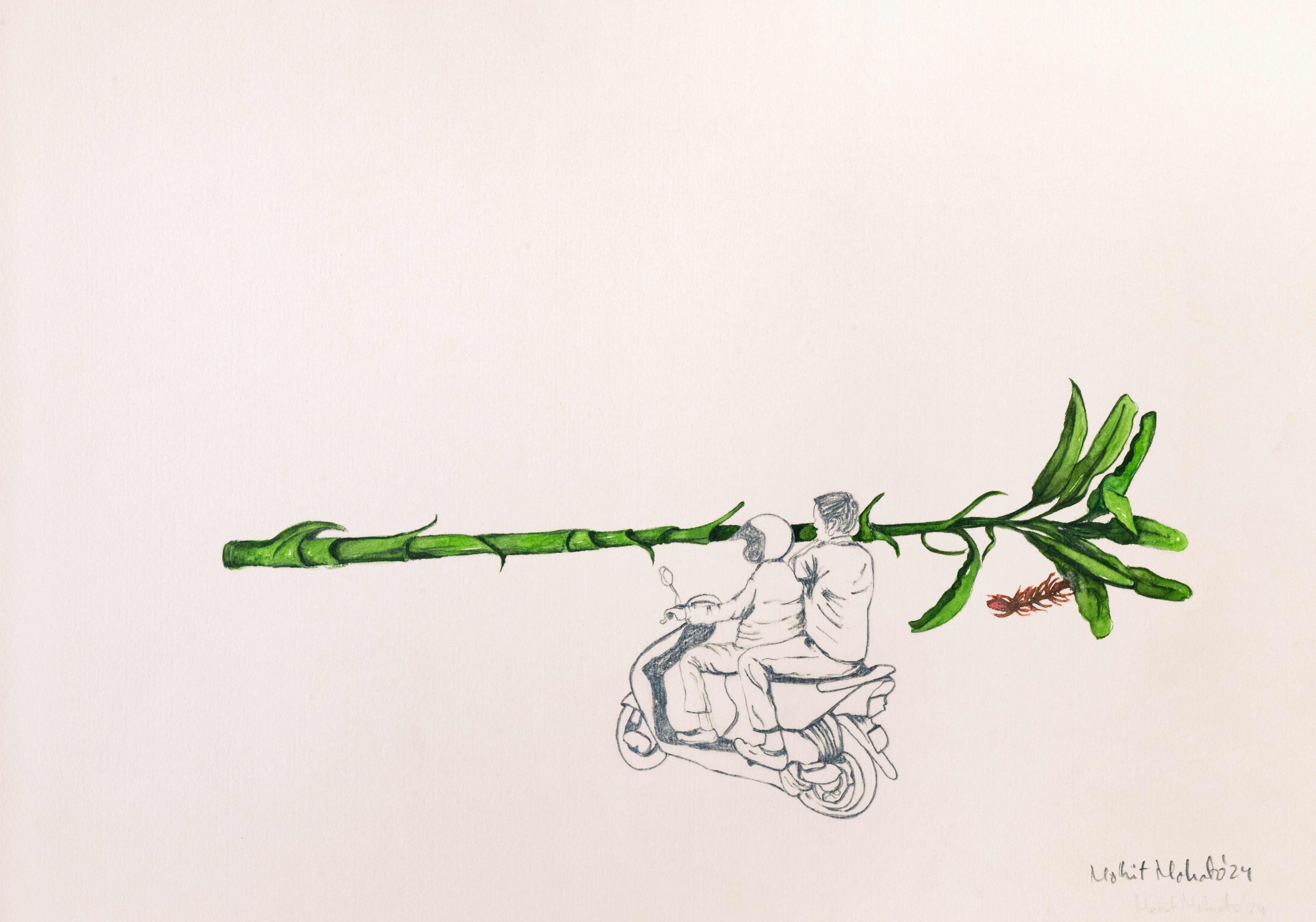 Translocation