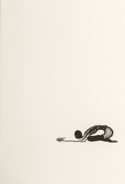 Contortionist