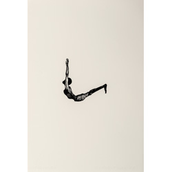 Contortionist