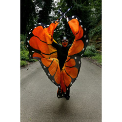 Butterfly Effect 1