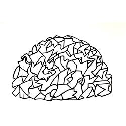 Cryptic Space II