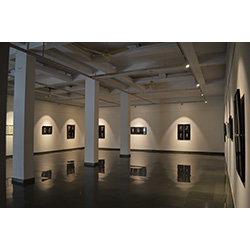 Installation Shot