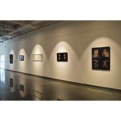 Installation Shot