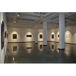 Installation Shot