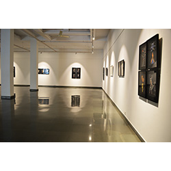 Installation Shot