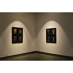 Installation Shot