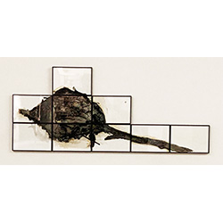 ‘Nest’