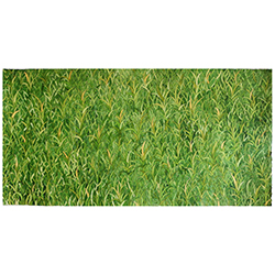 Always grass in greener on the other side