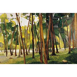 The Woods, Palni Hills II